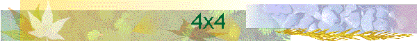 4x4