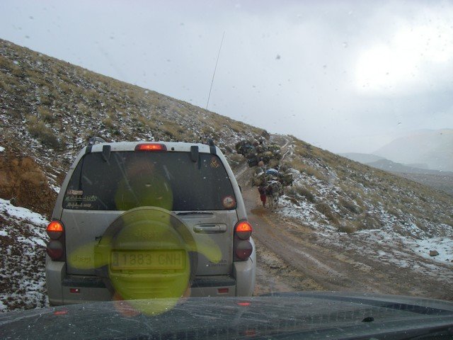 Photograph