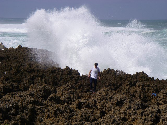 Photograph
