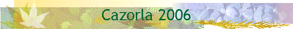 Cazorla 2006