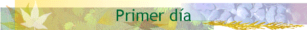 Primer da
