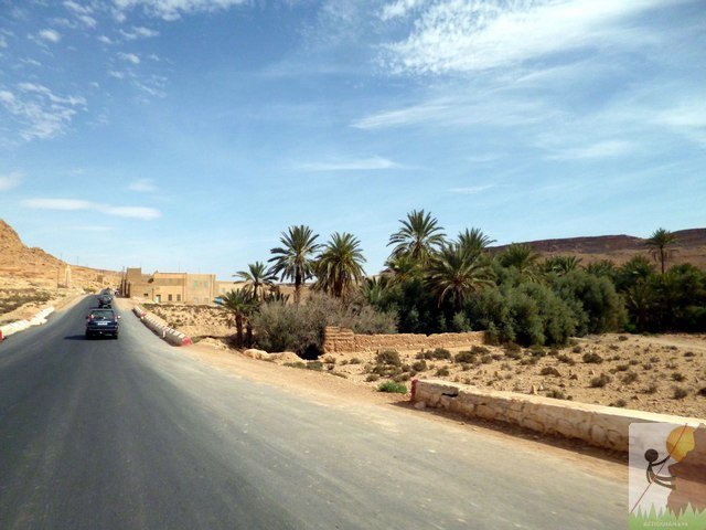Photograph