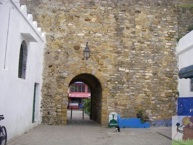 Photograph