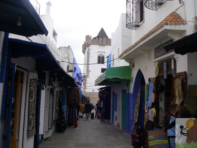 Photograph