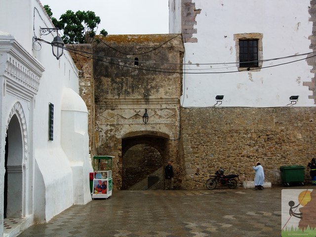 Photograph