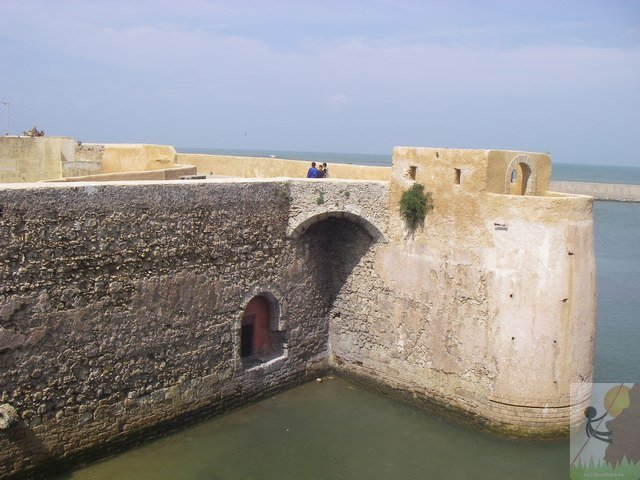 Photograph