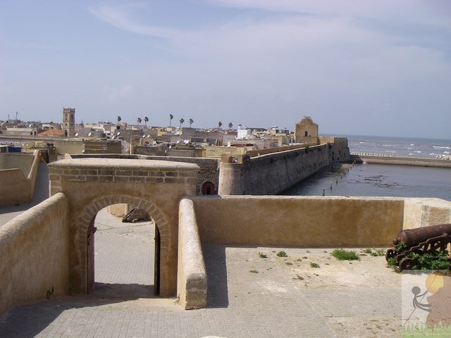 Photograph