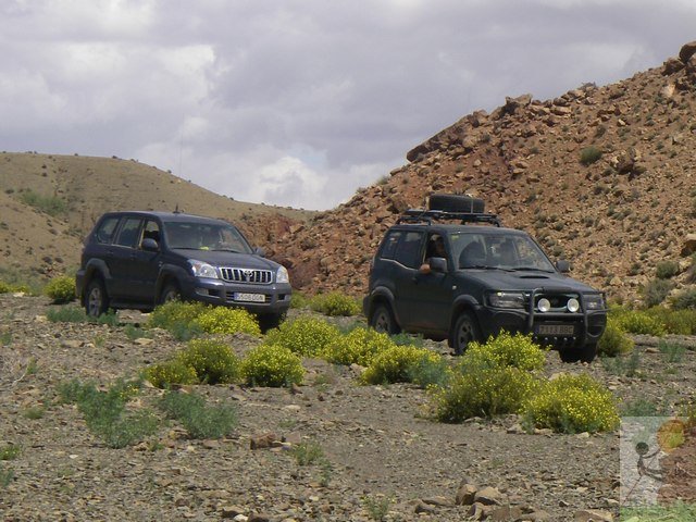 Photograph