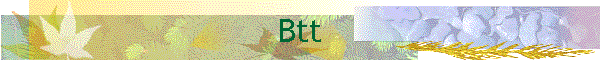 Btt