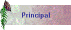 Principal