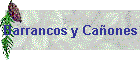 Barrancos y Caones