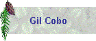 Gil Cobo