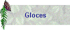 Gloces