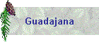 Guadajana