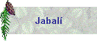 Jabalí