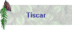 Tiscar