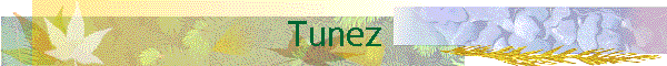 Tunez