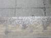 Photo Number 8