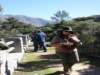 Photo Number 9