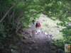 Photo Number 5