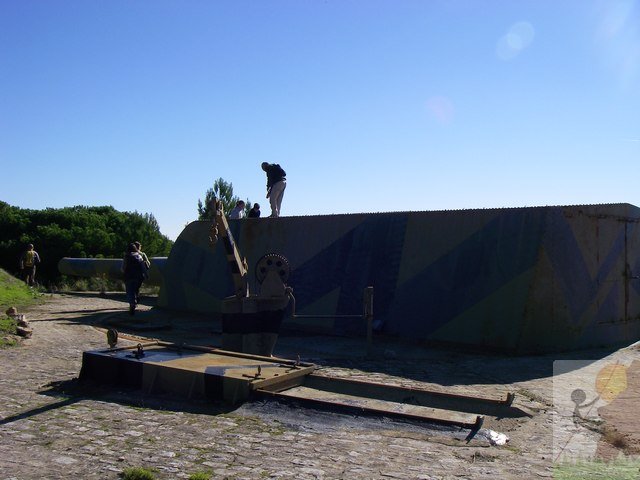 Photograph