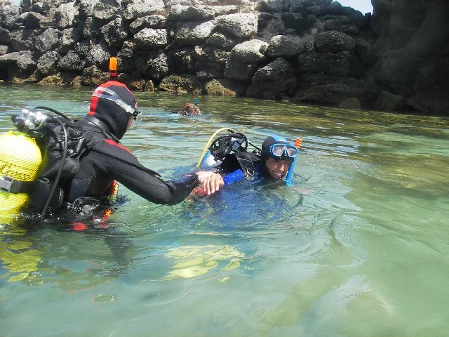 Photograph