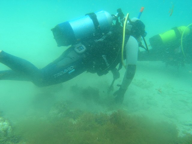 Photograph
