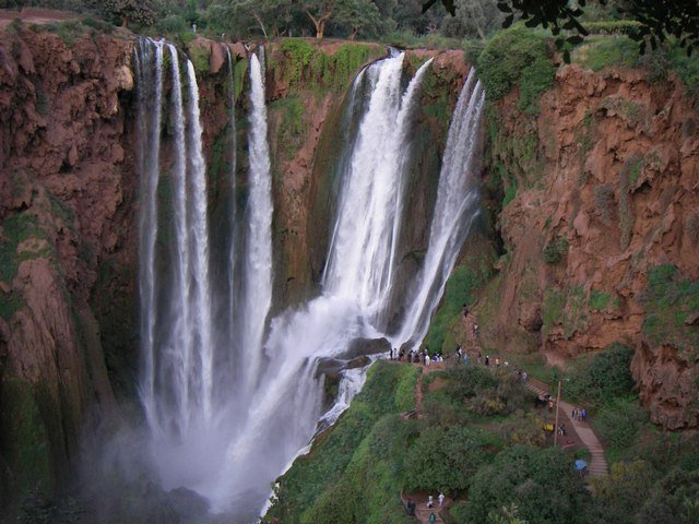 Photograph