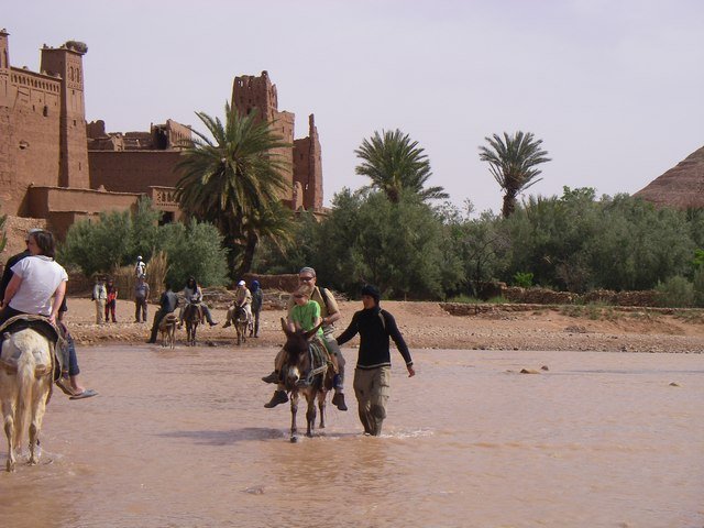 Photograph