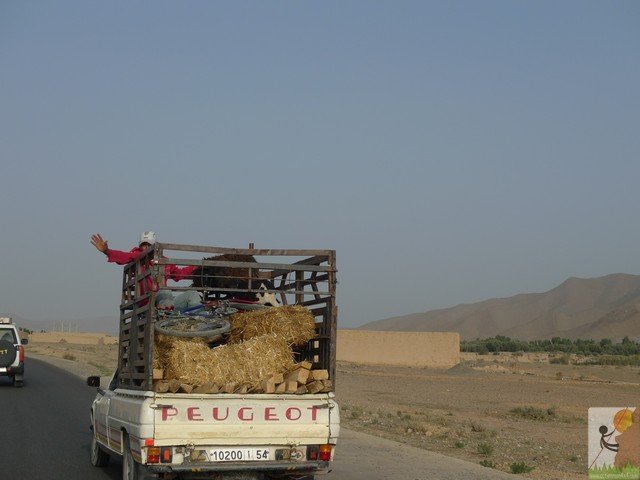 Photograph