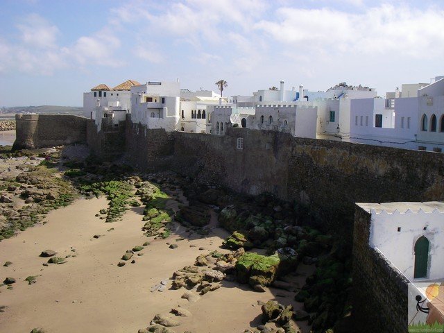 Photograph