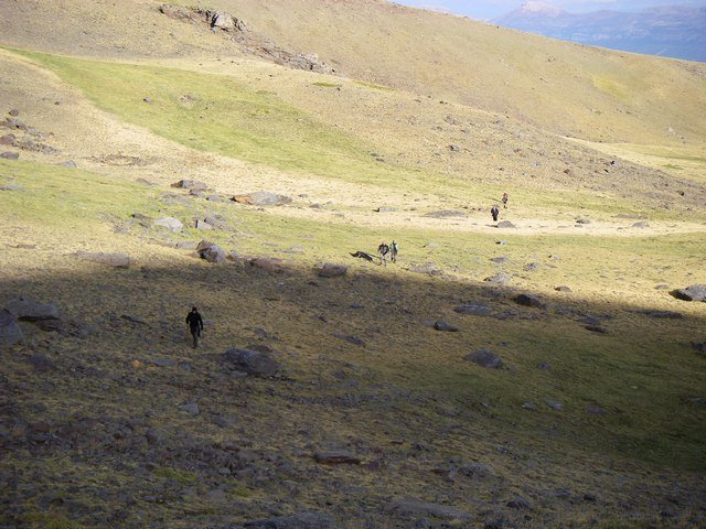 Photograph