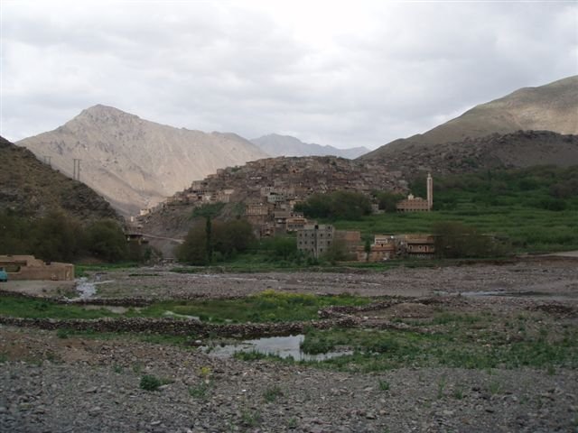Photograph
