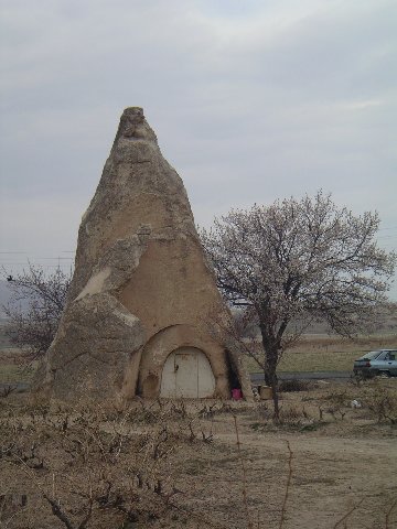 Photograph