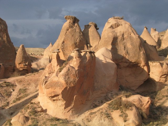 Photograph