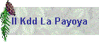 II Kdd La Payoya